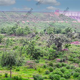 Afforestation at Kutni Dam Khajuraho
