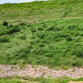 Slope stabilization at Kutni Dam WRD