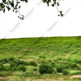 Slope stabilization of OB Dumps at NLC Neyveli