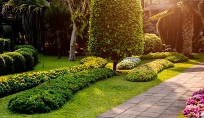 Lawns & Landscaping